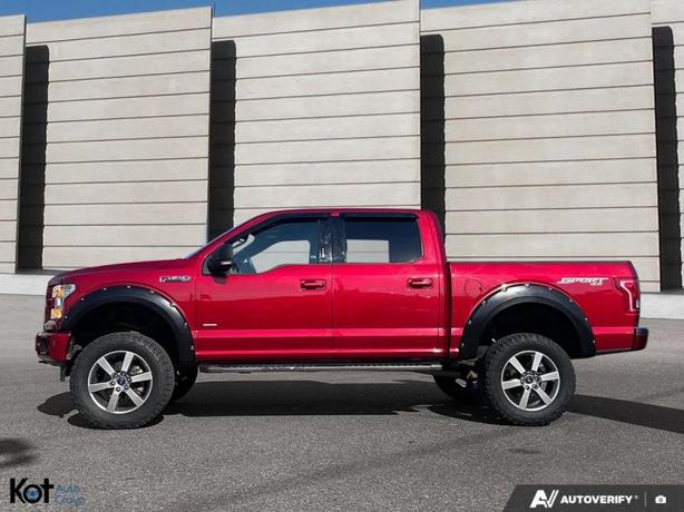 2017 FORD F-150 image 3