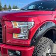 2017 FORD F-150 thumbnail image 8