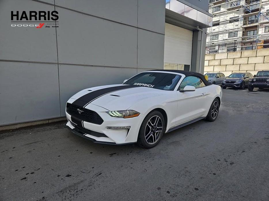 2023 Ford Mustang EcoBoost Convertible | No Reported Accidents! display photo