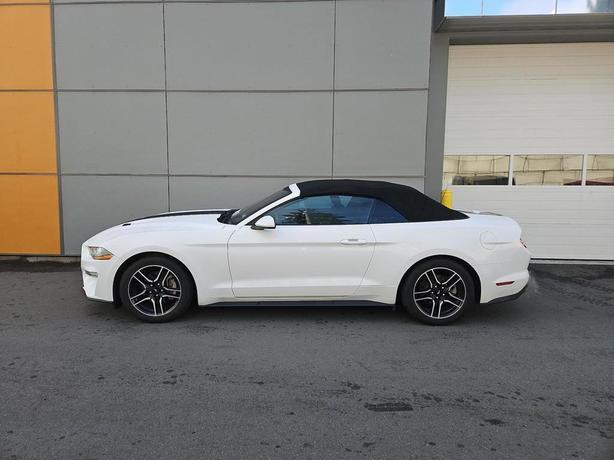 2023 Ford Mustang EcoBoost Convertible | No Reported Accidents! image 3