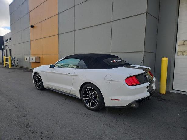 2023 Ford Mustang EcoBoost Convertible | No Reported Accidents! image 4