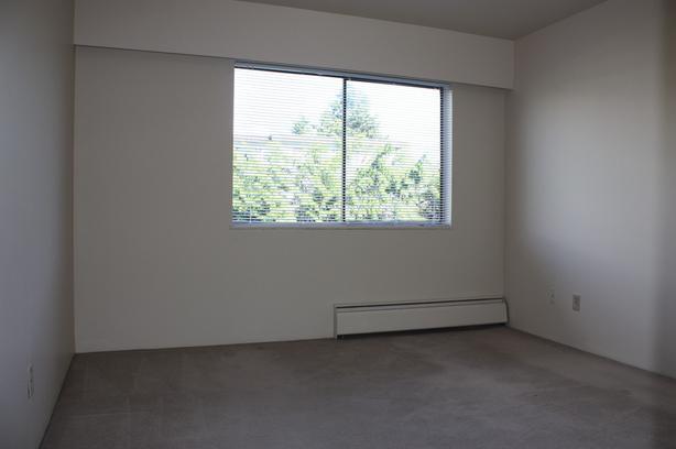 Welcome to Chelsea House image 4