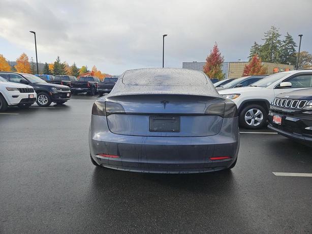 2021 Tesla Model 3 | Power Liftgate | Backup Camera! image 5
