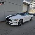 2023 Ford Mustang EcoBoost Convertible | No Reported Accidents! thumbnail image