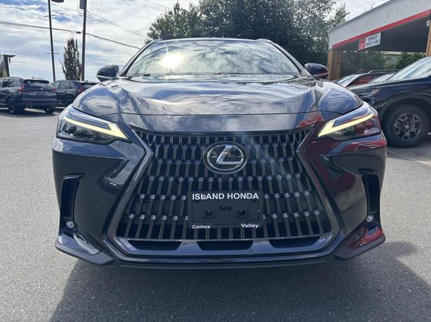2022 Lexus NX 350h image 2