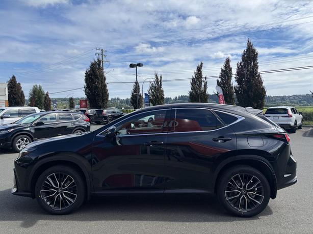 2022 Lexus NX 350h image 4