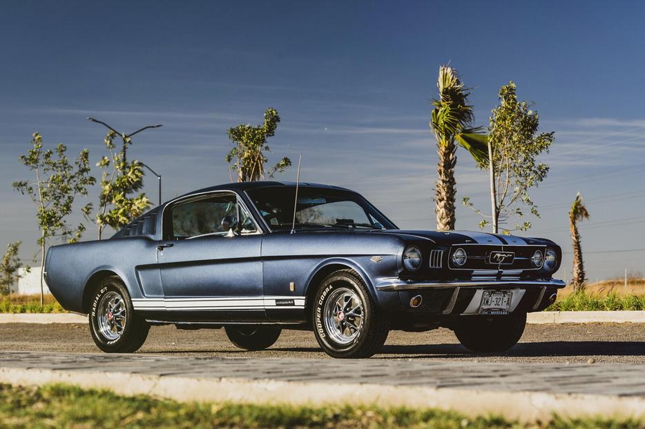 1965 Ford MUSTANGS WANTED! display photo