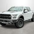 2017 Ford F-150 Raptor - 802A, Panoramic Sunroof, Tech Package thumbnail image