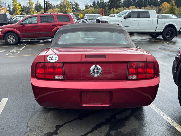 2007 Ford Mustang 2dr Convertible | Cruise Control! image 5