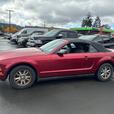 2007 Ford Mustang 2dr Convertible | Cruise Control! thumbnail image 4