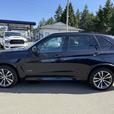 2014 BMW X5 Xdrive50i thumbnail image 2