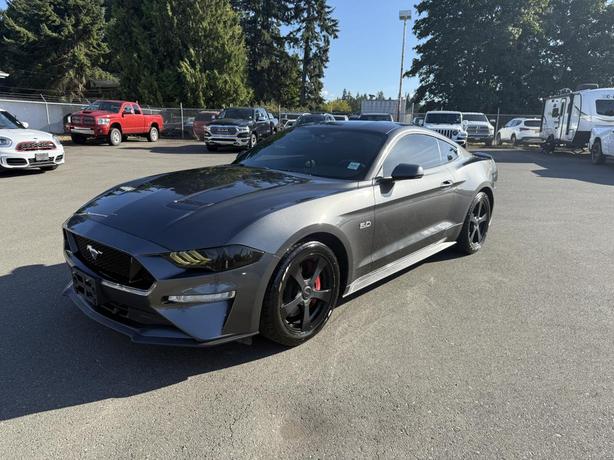 2018 Ford Mustang GT image 1