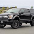 2019 Ford F-150 thumbnail image