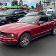2007 Ford Mustang 2dr Convertible | Cruise Control! thumbnail image 1