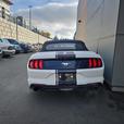 2023 Ford Mustang EcoBoost Convertible | No Reported Accidents! thumbnail image 5