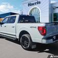 2024 Ford F-150 XLT 4WD SuperCrew 5.5' Box | No Reported Accidents | Low KM! thumbnail image 4