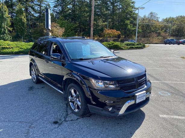 2014 Dodge  Journey Crossroad image 3