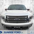 2013 FORD F-150 thumbnail image 2