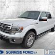 2013 FORD F-150 thumbnail image 3