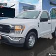 2022 Ford F-150 XLT 2WD Reg Cab 6.5' Box | No Reported Accidents! thumbnail image