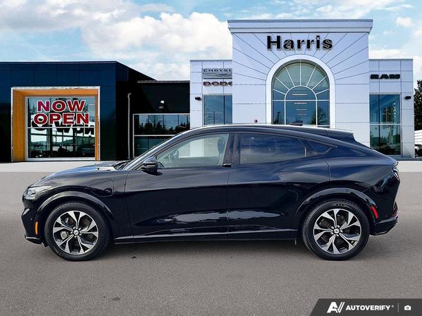 2022 Ford Mustang Mach-E Premium AWD | No Reported Accidents! image 3