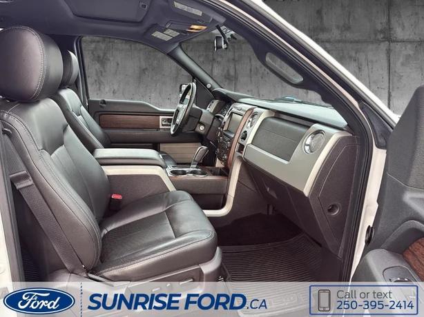 2013 FORD F-150 image 8