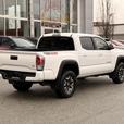 2023 Toyota Tacoma TRD Off-Road Premium - No Accidents, One Owner thumbnail image 6