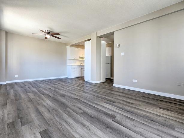 1 Bedroom Downtown Edmonton Apartments image 2