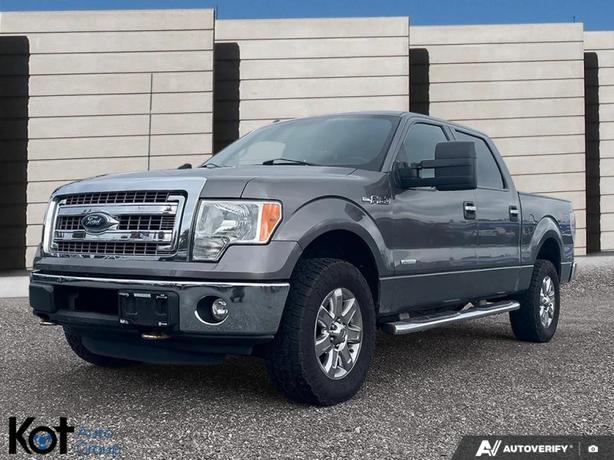 2013 FORD F-150 image 1
