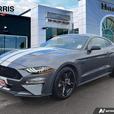 2022 Ford Mustang GT Premium Fastback | No Reported Accidents! thumbnail image