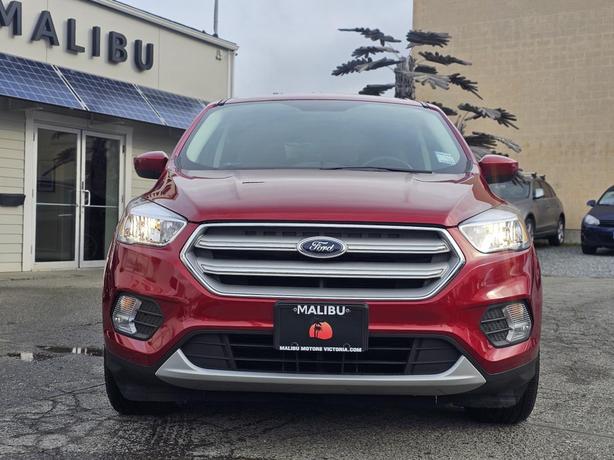 2019 Ford Escape SE FWD image 2