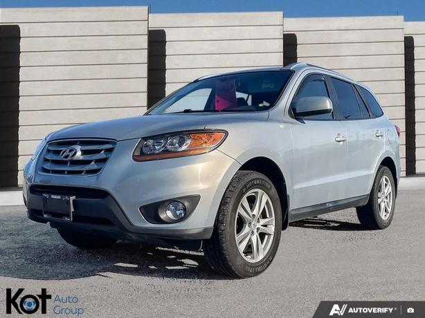 2010 HYUNDAI SANTA FE image 1