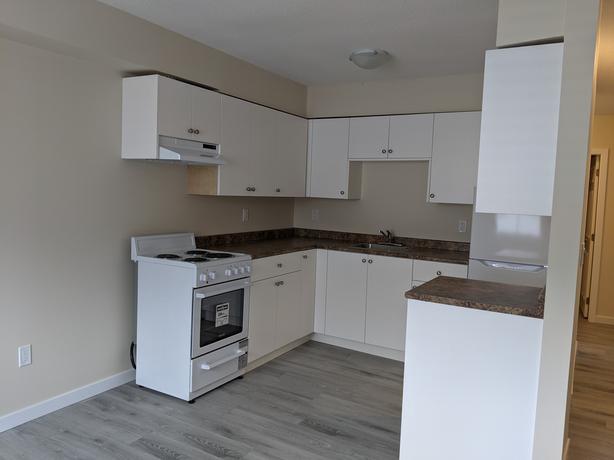 Welcome to Evergreen Place image 5