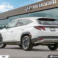 2025 Hyundai Tucson Preferred demo thumbnail image 4