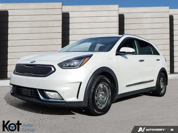 2019 KIA NIRO image 1