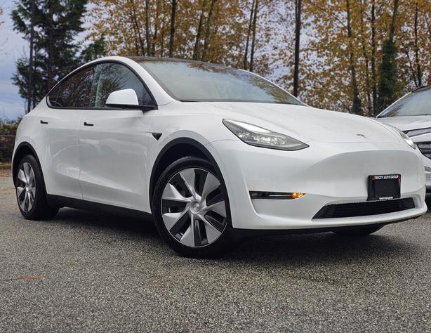 2024 Tesla Model Y image 3