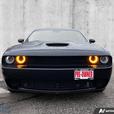 2016 Dodge Challenger R/T | 5.7L HEMI V8 | Loaded! | Super Track Pak | Premium S thumbnail image 2