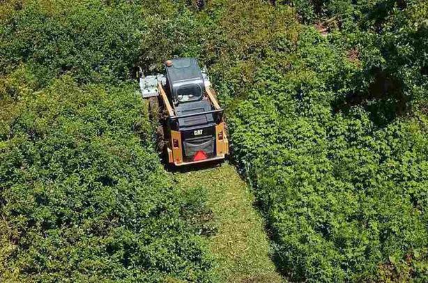 2025 Baumalight FEB700 Flail Mower image 6