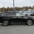 2024 Subaru Outback XT thumbnail image 5