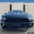 2021 FORD MUSTANG thumbnail image 2