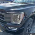 2023 FORD F-150 thumbnail image 8