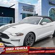 2023 Ford Mustang EcoBoost Convertible | No Reported Accidents! thumbnail image 1