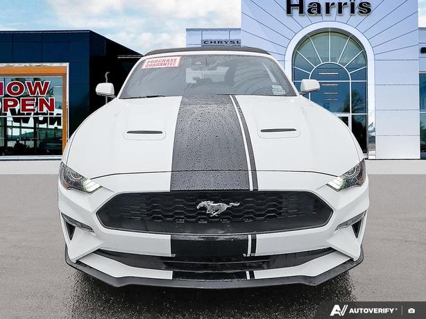 2023 Ford Mustang EcoBoost Convertible | No Reported Accidents! image 2