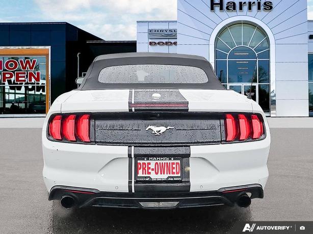 2023 Ford Mustang EcoBoost Convertible | No Reported Accidents! image 5