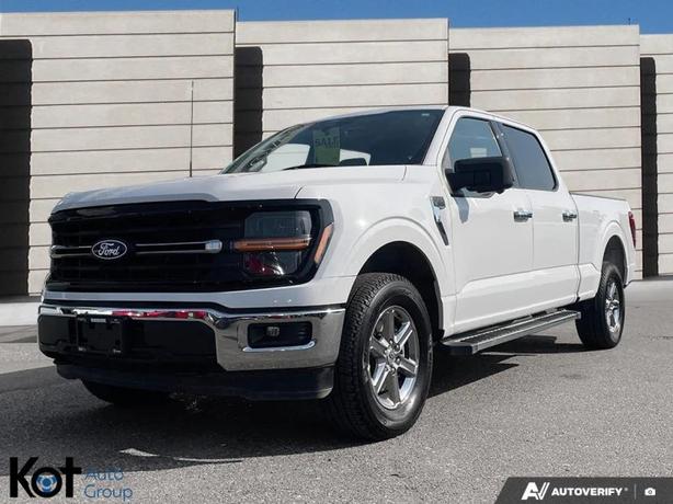 2024 FORD F-150 image 1