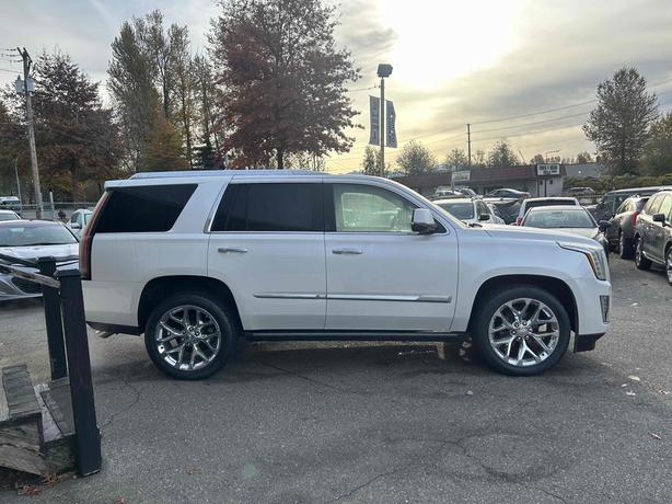 2016 Cadillac Escalade image 5