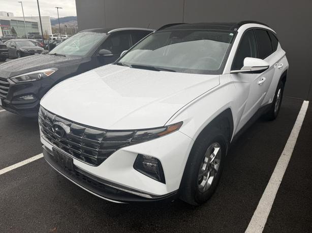 2024 Hyundai Tucson Trend ! WIRELESS CHARGING! HEATED SEATS! BLINDSPOT! BACKUP C image 2