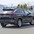 2024 Hyundai Tucson Preferred - AWD, No Accidents, Heated Seats thumbnail image 6