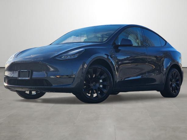 2020 Tesla Model Y Long Range - Dual Motor, White Interior image 1