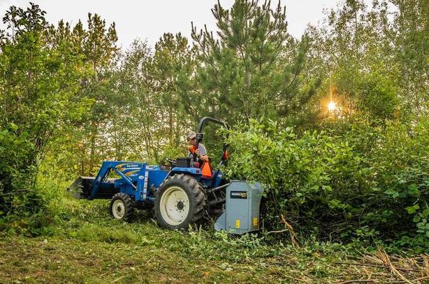 2025 Baumalight MP348 Fixed Tooth Mulcher image 7